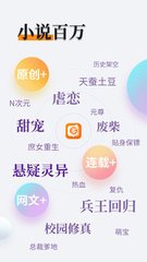 开云官方网站app